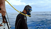 discovery channel adventure GIF by Discovery Europe