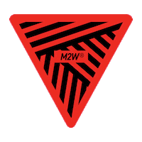 vanguardm2w Sticker