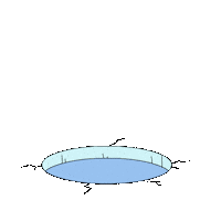 Penguin Yes Sticker by Pudgy Penguins