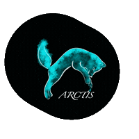 arctisdesign arctis arctic design Sticker