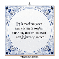 Humor Reflectie Sticker by Tegelspreuken.nl