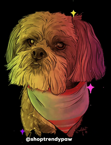 shoptrendypaw dog george shihtzu trendypaw GIF