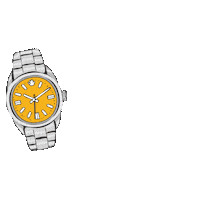 Audemars Piguet Fashion Sticker by Luxehouze