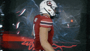 College Football GIF by gamecocksonline