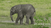 Fail Bbc One GIF by BBC
