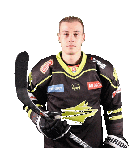 Sticker by TIPOS Slovenská hokejová liga