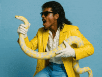 Zoo Reptile GIF by Jukebox Saints