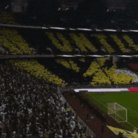 Spl GIF