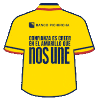 Ecuador Visa Sticker by Banco Pichincha