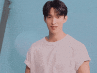 Dk 세븐틴 GIF