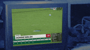 Wither Tv Show GIF by Pure Noise Records