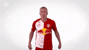 Goal Cheer GIF by FC Red Bull Salzburg