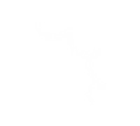 Junojuno Sticker
