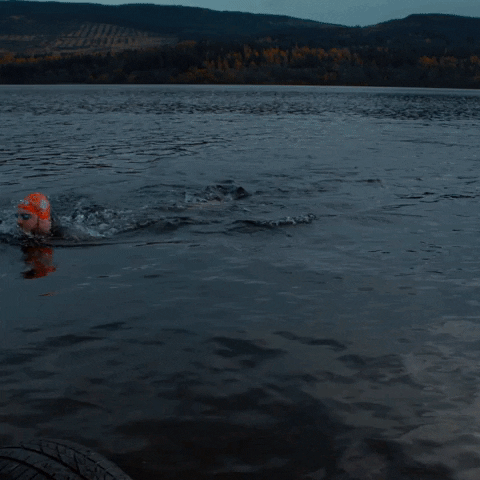 britishswimming swimming scotland loch open water GIF
