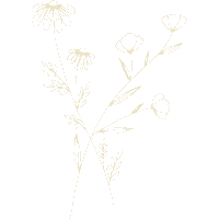 Flowers Boho Sticker