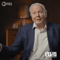 David Attenborough Grace GIF by PBS