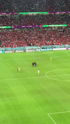Security Guards Nab Acrobatic Pitch Invader 