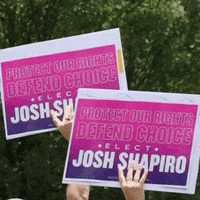 Voter Voting GIF by Josh Shapiro