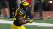 Go Blue Michigan Football GIF by Michigan Athletics