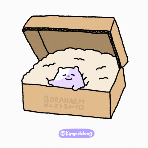 Good Morning Hello GIF