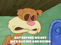 season 7 episode 3 GIF by SpongeBob SquarePants