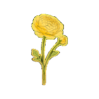 Flower 스티커 Sticker