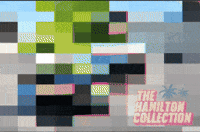 Trans Am GIF by TheHamiltonCollection