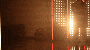 Utah Utes Softball GIF by NCAA Championships