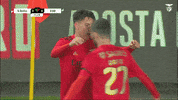 Sl Benfica Hug GIF by Sport Lisboa e Benfica