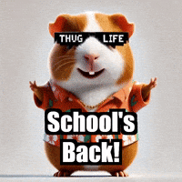 Excited School GIF by Guinea Gambino