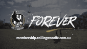 family fan GIF by CollingwoodFC