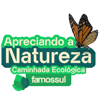 Caminhada Sticker by Famossul