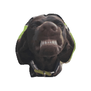 otfwyomissing dog angry mood mad Sticker