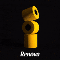 Toilet Paper GIF by MyRenova