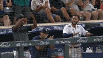 Regular Season Sport GIF by MLB