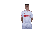 1 Fc Cologne Football Sticker by 1. FC Köln
