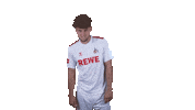 1 Fc Cologne Football Sticker by 1. FC Köln