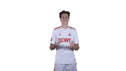 1 Fc Cologne Football Sticker by 1. FC Köln
