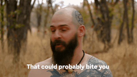 Scared Discovery Channel GIF by Discovery