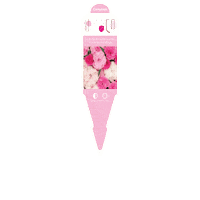 Carnation Sticker by Ball Horticultural Co