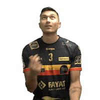 Sport Gameday Sticker by PAUC Handball