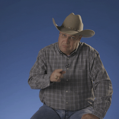Pointing Cliff GIF by Big Brother