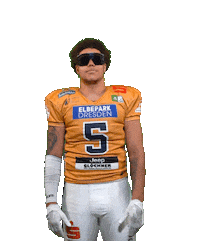 Football Sport Sticker by Dresden Monarchs
