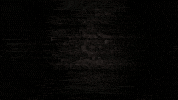 EastCoastCapital  GIF