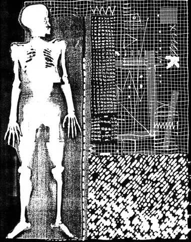 lettrist giphygifmaker x-ray GIF