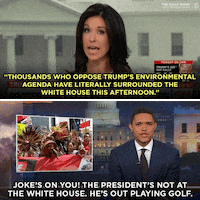 GIF by The Daily Show with Trevor Noah