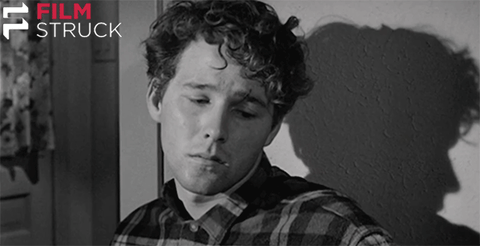 black and white 70s GIF by FilmStruck