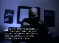 what can i do GIF by Ice Cube