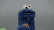 GIF by Sesame Street