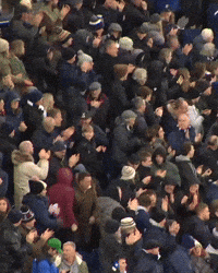 West Brom Wba GIF by West Bromwich Albion